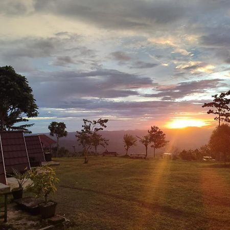 Bugo Camp Glamping & Natural Activity Munduk  Ngoại thất bức ảnh