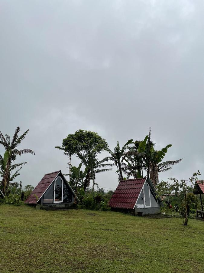 Bugo Camp Glamping & Natural Activity Munduk  Ngoại thất bức ảnh