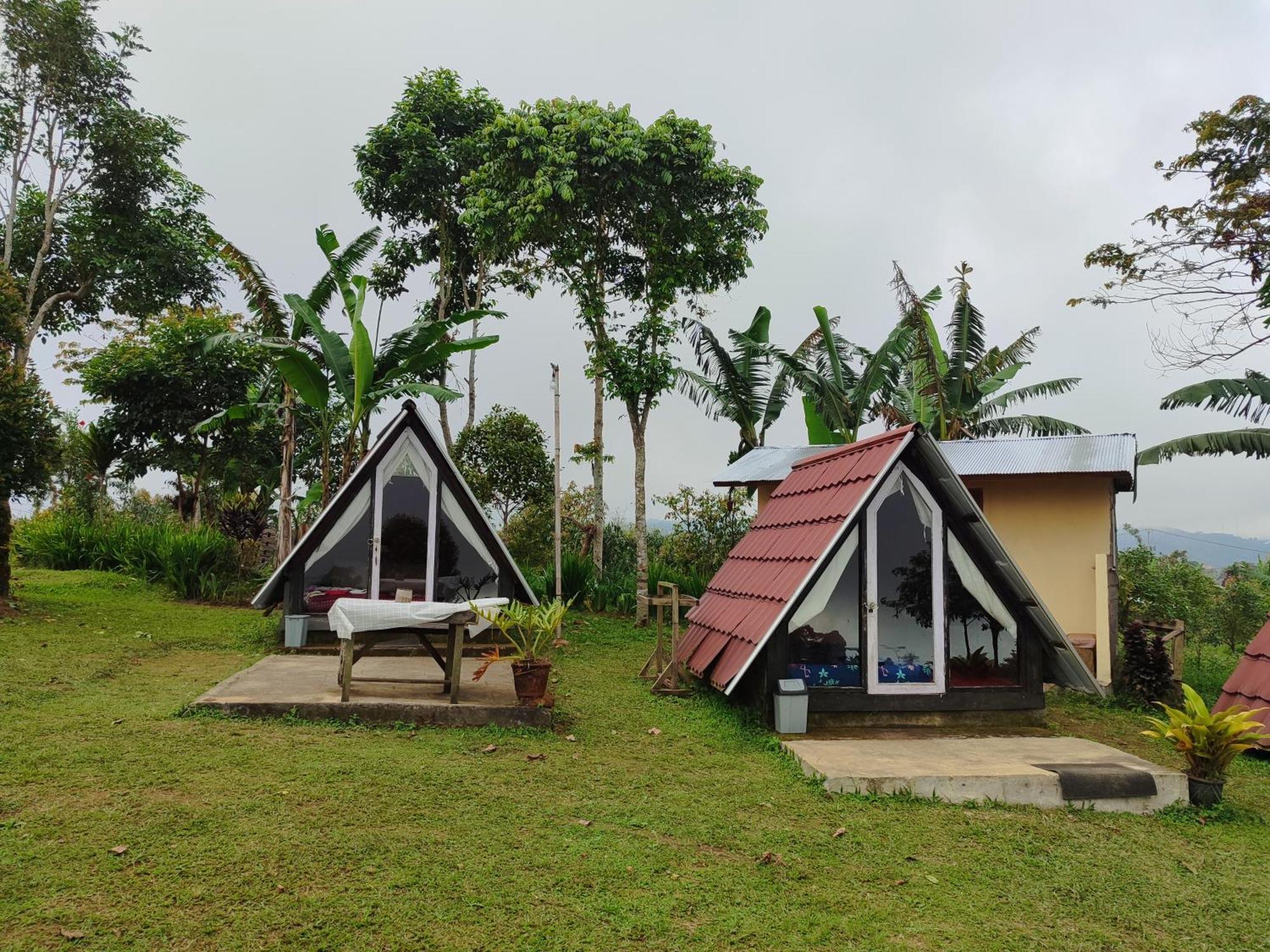 Bugo Camp Glamping & Natural Activity Munduk  Ngoại thất bức ảnh